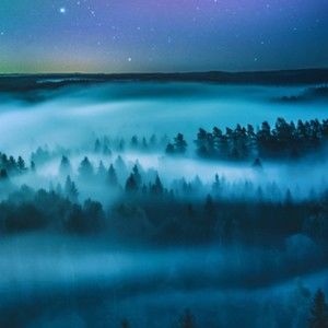 Meet your Posher, Alice